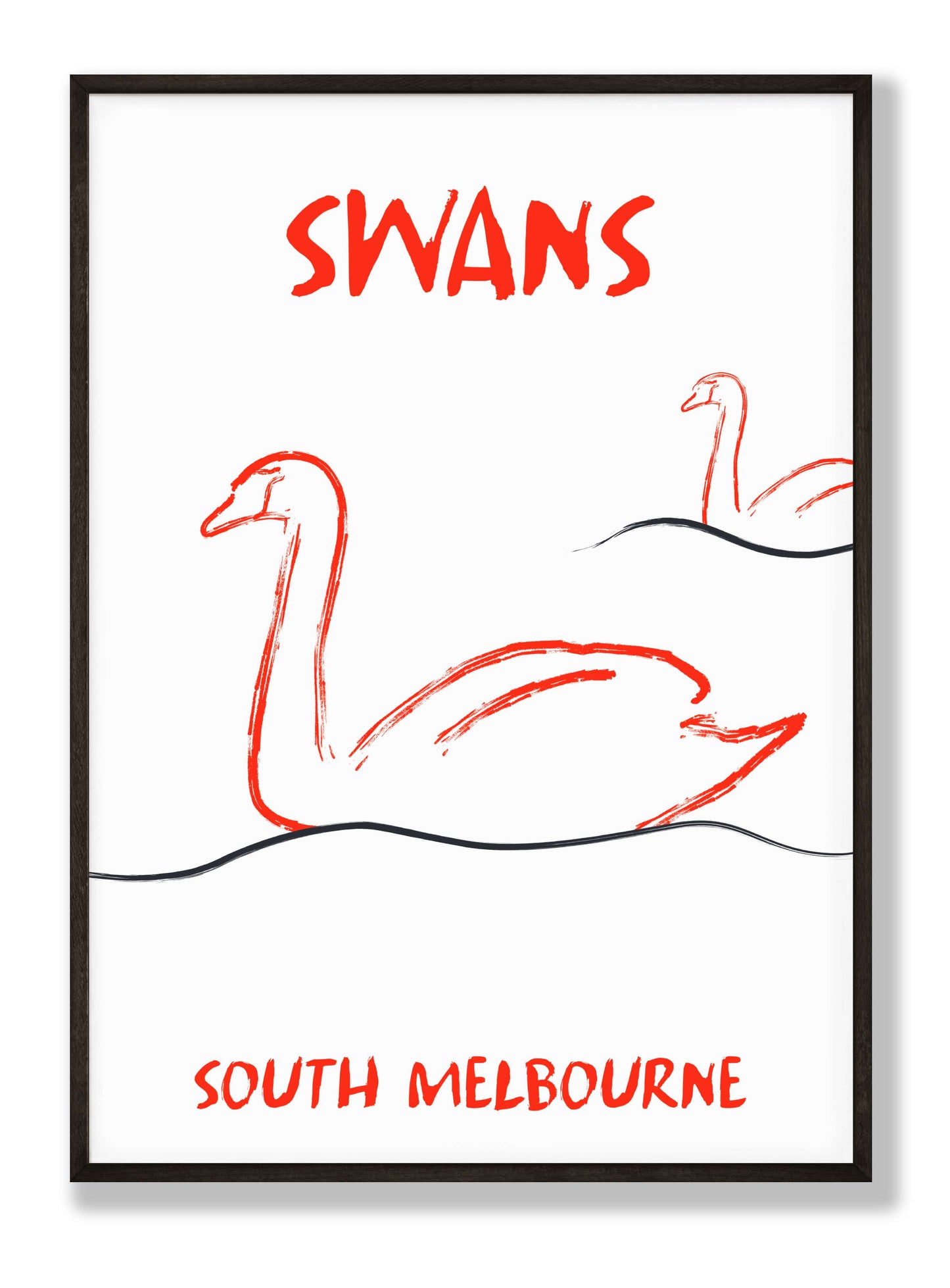 Swans in South Melbourne