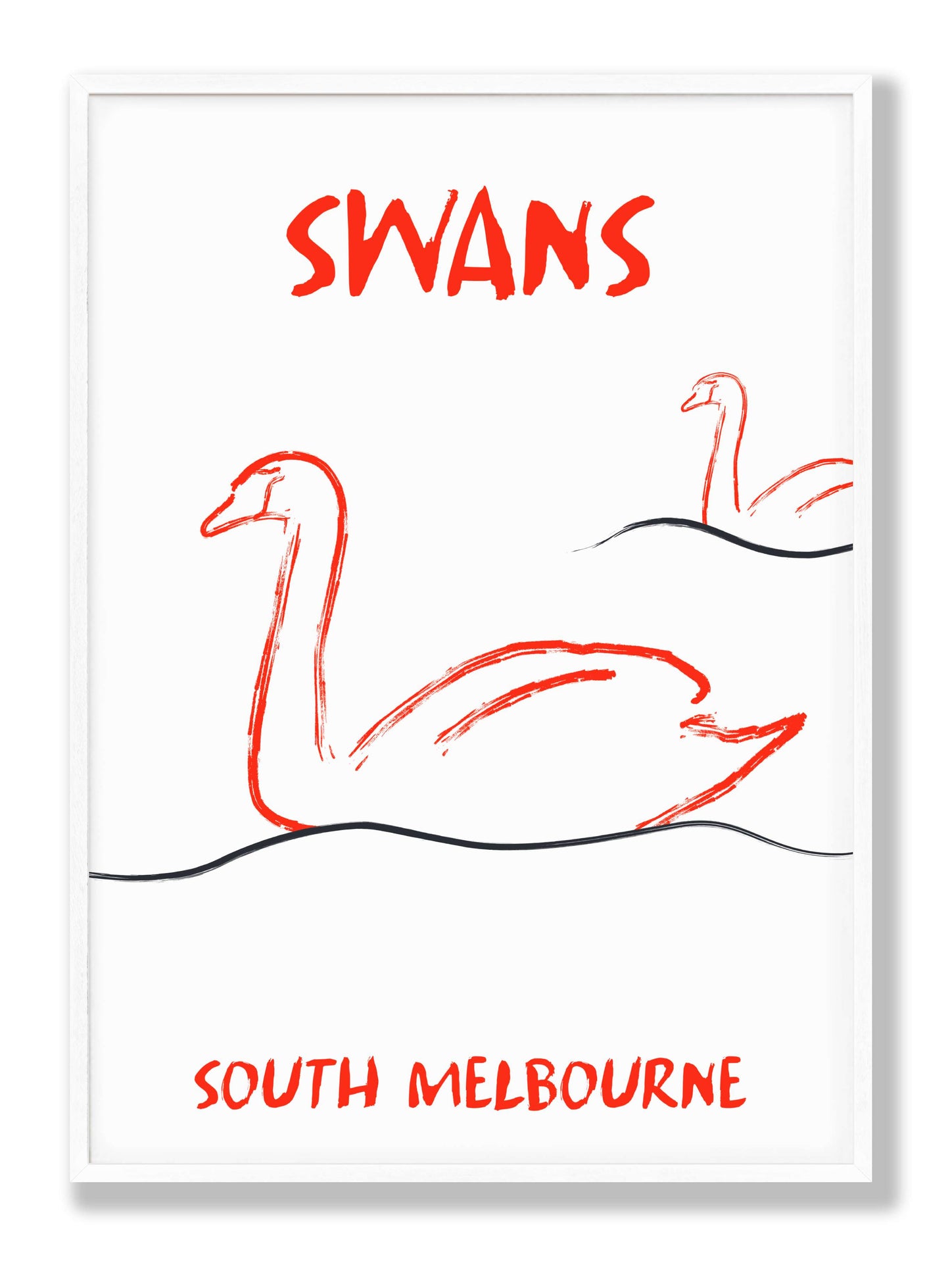 Swans in South Melbourne