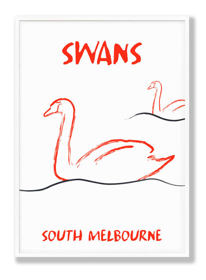 Swans in South Melbourne